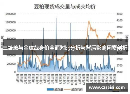 三笘薰与金玟哉身价全面对比分析与背后影响因素剖析