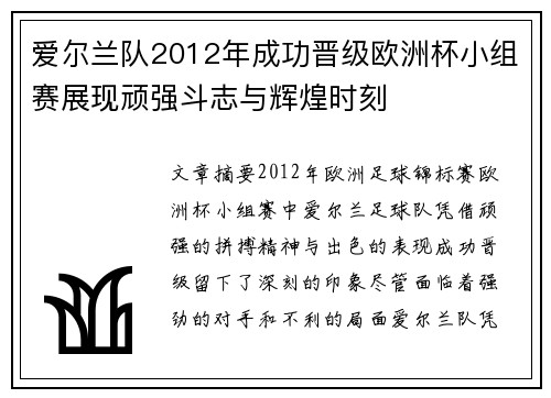 爱尔兰队2012年成功晋级欧洲杯小组赛展现顽强斗志与辉煌时刻